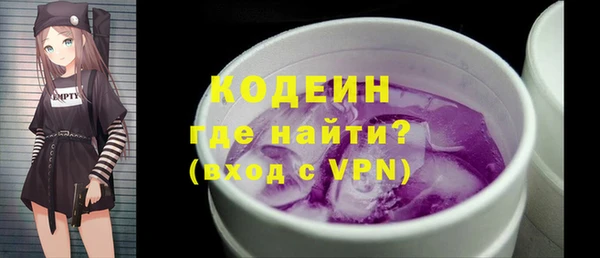 стаф Осинники