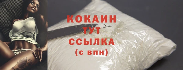 кокс Ельня