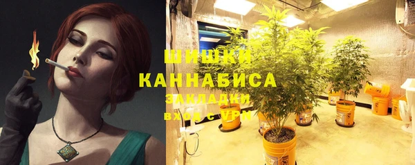 кокс Ельня