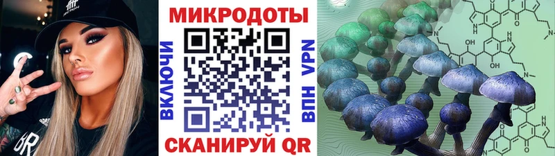 Псилоцибиновые грибы GOLDEN TEACHER купить закладку Курлово