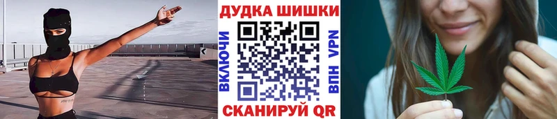 магазин продажи наркотиков  Курлово  Шишки марихуана планчик 